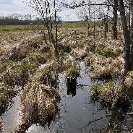 Moorhuus - Paradies Am Wilden Moor Vakantiehuis Winnert